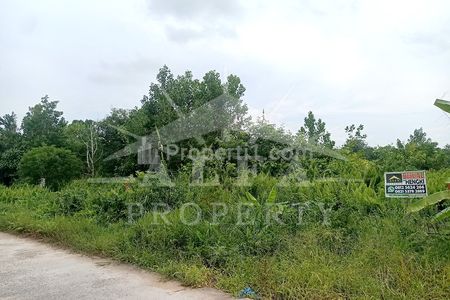 Jual Tanah SHM Harga Murah Dekat Universitas Sekolah Pusat Bisnis