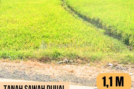 Tanah Sawah Dijual Luas 6.404m2 di Bantarbolang, Pemalang, Jateng