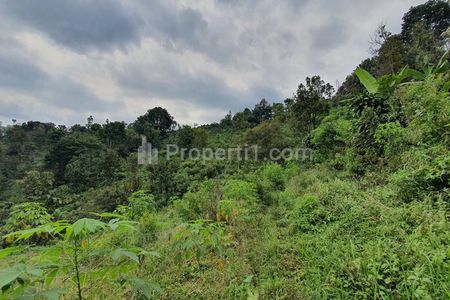 Jual Tanah Perkebunan Luas di Kawasan Wonosalam Jombang