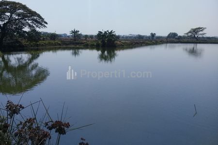 Dijual Tambak Aktif Bagus untuk Pertanian di Desa Kandangan, Cerme, Gresik, Jawa Timur