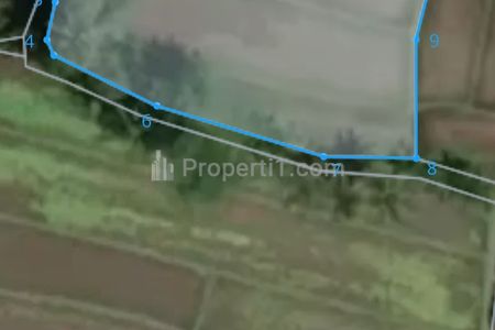 Dijual Tanah Sawah Produktif di Babaha Penebal Tabanan Bali