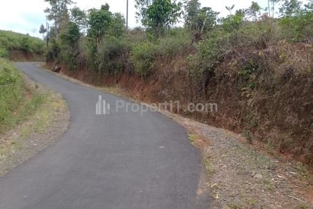 Dijual Tanah Kebun Produktif dan Strategis Pinggir Jalan