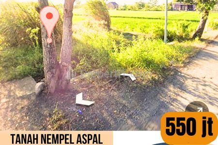 Dijual Tanah 475 m2 di Desa Kemanggungan, Tarub, Tegal