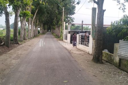 Jual Tanah Pekarangan Bagus Tepi Jalan Aspal di Tirtoadi Mlati Sleman Yogyakarta