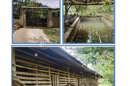 Jual Cepat Harga Spesial Tanah Peternakan + Hewan, Luas : 1.658 m2 di Pabuaran, Sukamakmur, Bogor