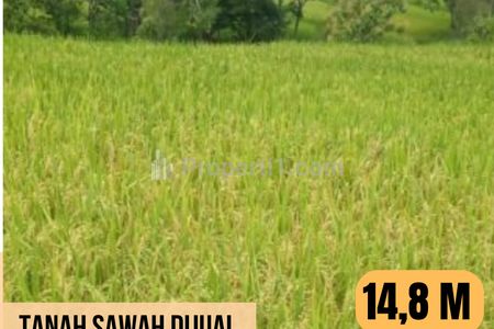 Tanah Dijual LT 21.100 m2 Harga 14,8 M di Pangkah, Kab Tegal, Jawa Tengah