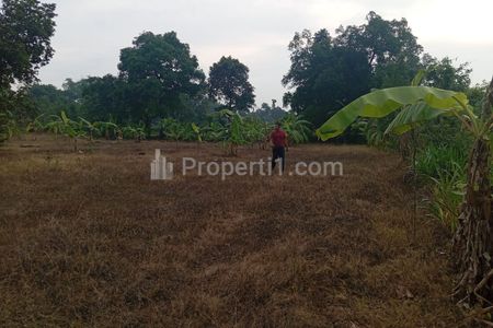 Dijual Tanah Dusun Dukuan Kidul Desa Kesamben Kulon Kec Wringin Anom Gresik Jawa Timur
