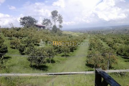 Dijual Tanah Kosong Daerah Simalungun - Tambak Bawang, Dolak Silau