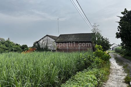 Dijual Gudang Penggilingan Padi di Kembangbahu, Lamongan, Jawa Timur
