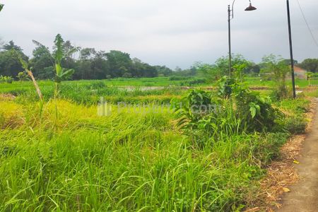 Tanah Dijual di Yogyakarta Dekat UNRIYO, UPN Veteran Yogyakarta, Pakuwon Mall Jogja