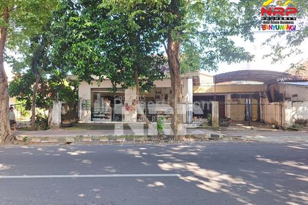 Dijual Ruko Luas 600m2 di Pusat Kota Jalan Jagung Suprapto Banyuwangi
