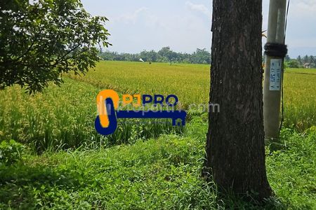 Dijual Lahan Siap Pakai Cocok untuk Gudang Pabrik di Cianjur, Jawa Barat