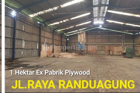 Disewakan Ex Pabrik Plywood 1 Hektar di Jalan Raya Randuagung - Lumajang, Jawa Timur - Ada Ruang Kantor - Akses Truk Besar
