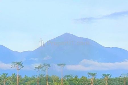 Dijual Tanah View Gunung di Kerta Payangan Gianyar Bali dekat Ayatara Resort