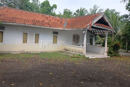 Dijual Tanah di Jalan Ciomas Baru Tembong Serang