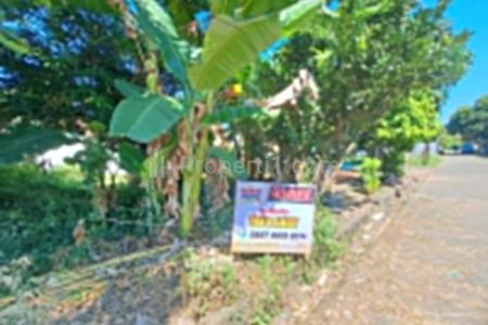 Dijual Tanah Premium 400 m² SHM Dekat Hotel, Pusat Kota & Pelabuhan Ketapang Banyuwangi