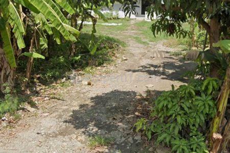 Tanah Dijual dengan Luas 3.956m2 di Dukuhturi, Kabupaten Tegal, Jawa Tengah
