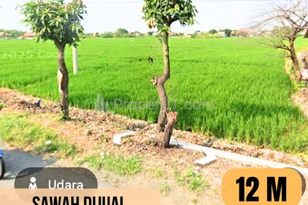 Tanah Dijual dengan Luas 20.000 m2 di Pangkah, Tegal, Jawa Tengah