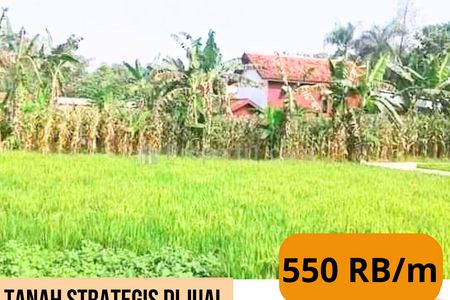 Tanah Dijual dengan Luas 2.385m2 di Kedungbanteng, Tegal, Jawa Tengah