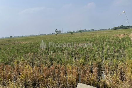 Dijual Murah Sawah Pinggir Jalan di Sukatani Kabupaten Bekasi