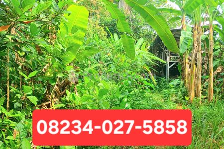 Sewa Tanah (Over Kontrak) Tanah di Kemenuh Sukawati Gianyar Bali Dekat Ubud