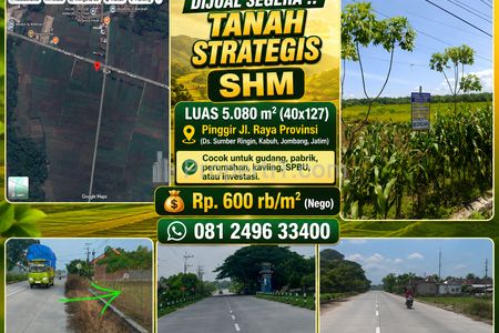 Jual Tanah Strategis SHM Pinggir Jalan Raya Provinsi Kabuh Jombang Jawa Timur Luas 5080m2 Murah Masih Nego