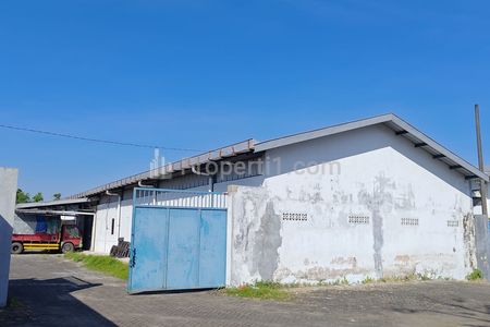 Disewakan Gudang di Sumbersari Jember Jawa Timur