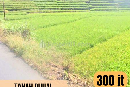 Tanah Dijual LT 1724 m2 di Bantarbolang, Pemalang, Jawa Tengah