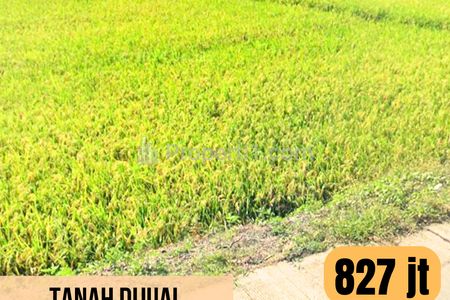 Tanah Dijual LT 4.728 m2 di Bantarbolang, Pemalang, Jawa Tengah