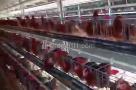Dijual Tempat Usaha Ex Kandang Ayam Petelur di Serang, Banten
