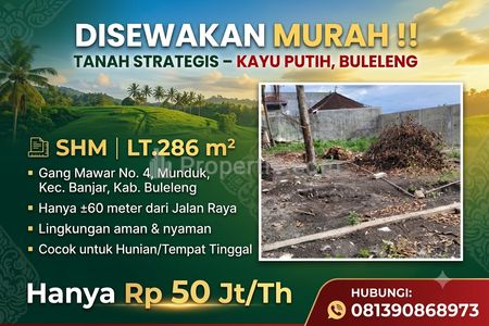 Tanah Disewakan Murah di Kayu Putih, Buleleng, Bali - Akses Mudah, Strategis 60m dari Jalan Raya, Luas 286m2, Cocok untuk Hunian