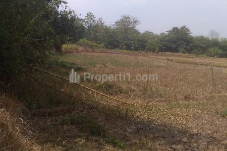 Dijual Sawah Produktif 8.480m2 di Campaka, Purwakarta