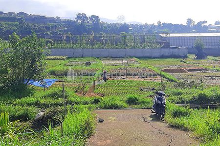 Jual Tanah 1739 m2 SHM untuk Resort Cluster Town House Villa Agro Bisnis Agro Wisata Nursery di Cihideung, Sayap Jalan Sersan Bajuri Bandung