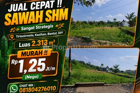 Dijual Tanah Sawah SHM Strategis di Kasihan Bantul Yogyakarta, Tanah Luas 2313m2 Harga Murah Bisa Nego Lokasi Mudah Siakses dekat Fasum dan Sekolah