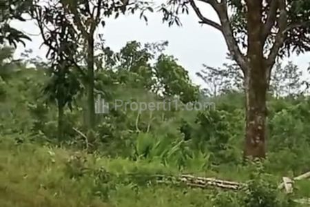 Dijual Tanah Zona Kuning di Desa Singajaya Bogor