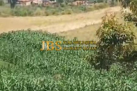 Dijual Tanah Daerah Simalungun Desa Tiga Urung - Butu Bayu Pane Raja Kec. Dolok Pardamean