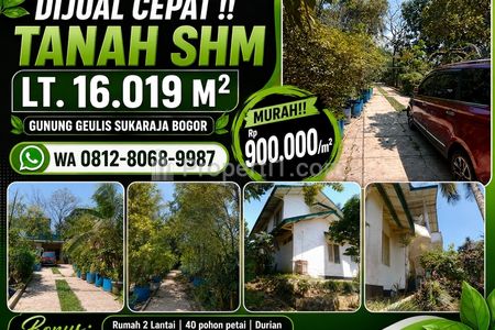 Dijual Murah Tanah SHM Strategis di Gunung Geulis Sukaraja Bogor - Luas 16019m2 Bonus Rumah 2 Lantai dan Banyak Tanaman Produktif - Harga Nego