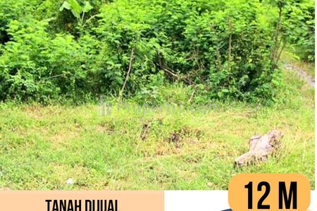 Dijual Tanah di Jalur Pantura LT 12.000 m2 di Pemalang, Jawa Tengah