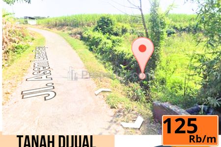 Tanah Dijual di Tegalandong, Slawi, Tegal, Jawa Tengah